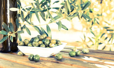 green olives on table in an olive groveの写真素材