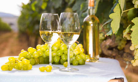 still life with glass of White wine grapes on table in fieldの写真素材