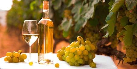 still life with glass of White wine grapes on table in fieldの写真素材