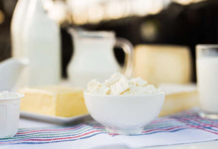 milk, cottage cheese, cream, cheese on table against background of cowsの写真素材