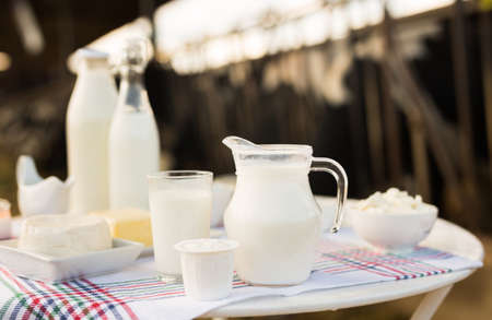 jug of milk, bottle of kefir, cottage cheese, cream and yogurt in bowl, cheese, butter on table in cowshedの写真素材