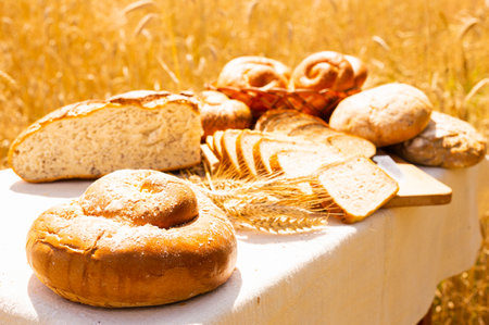 various types of fresh bread on linen tablecloth on table in cereal field outside