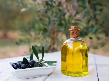 black ripe olives, olive oil in a glass traditional bottle on a table in an olive gardenの写真素材