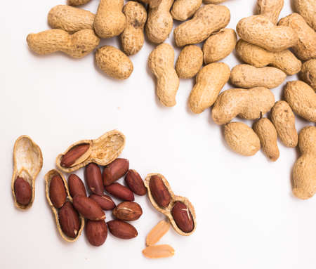 Peeled peanut kernels on a white backgroundの写真素材