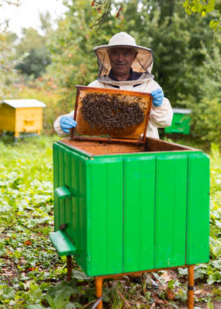 Beekeeper at the apiary. High quality photo