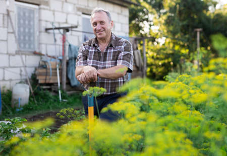 mature man farmer posing in estate garden