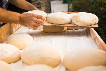 yeast dough in the form of loaves waiting to be cookedの写真素材