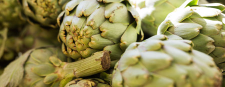 Fresh artichokes on market counterの写真素材