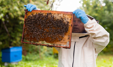 Beekeeper on apiary. Beekeeper is working with bees and beehives on apiary.の写真素材