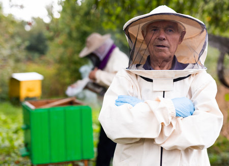 Beekeeper on apiary. Beekeeper is working with bees and beehives on apiary.の写真素材