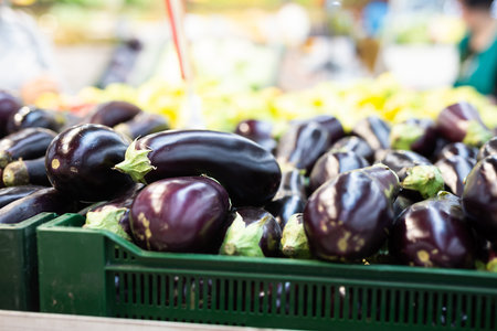 Fresh purple eggplant on market counterの写真素材