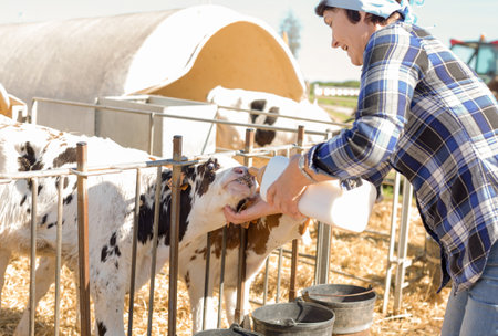 Mature woman taking care of dairy herd in livestock farmの写真素材