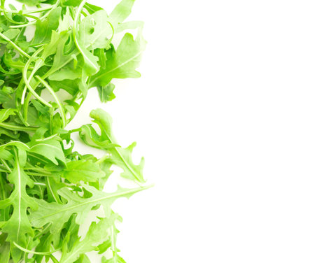 Fresh farm arugula on a white backgroundの写真素材