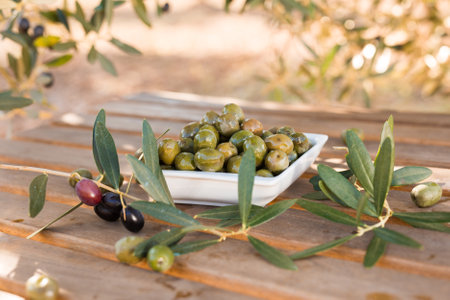 Olives on table in an olive groveの写真素材