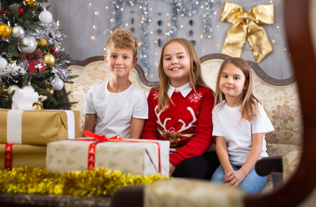 Two girls and boy on sofa in Christmas interiorの写真素材