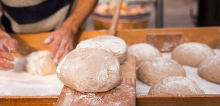 Yeast dough in the form of loaves waiting to be cookedの写真素材