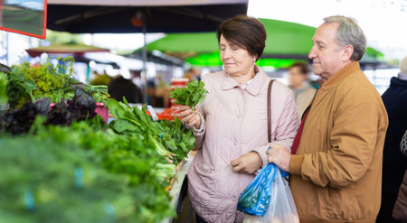 Ederly man and woman buy greens at an open marketの写真素材