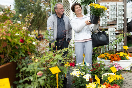 Elderly man and woman buy flowers at an open marketの写真素材