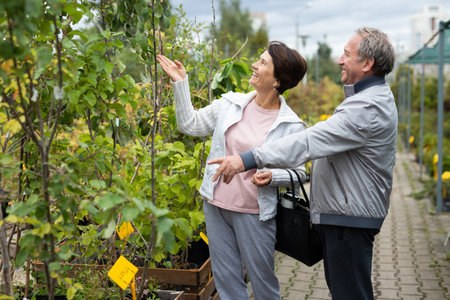Focused elderly male and female consumers picking potted plants and bushes in outdoor garden marketの写真素材
