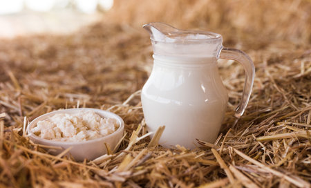 Jug of milk and cottage cheese in mowの写真素材