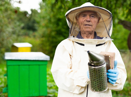 Old male hiver in bee yardの写真素材
