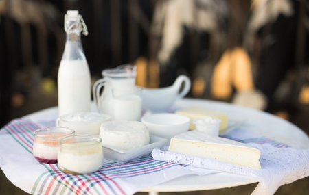 milk, cottage cheese, cream, cheese on tableの写真素材