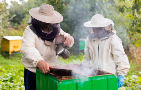 Two beekeepers open a hive in the wild