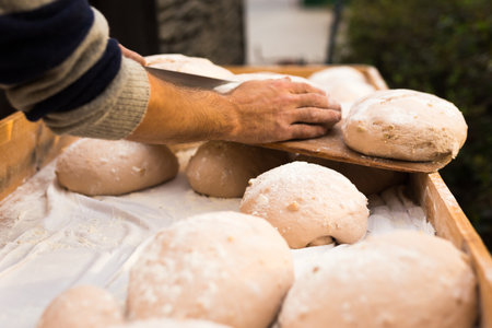bread preparation. loaves of dough before baking