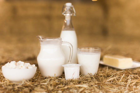 milk, cottage cheese, cream, cheese on table against the background of hayの写真素材