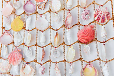 Dercorative colorful seashells hanging on a white wall
