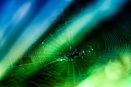 Spider web on a blurred colorful background. Abstract wallpaper.の写真素材