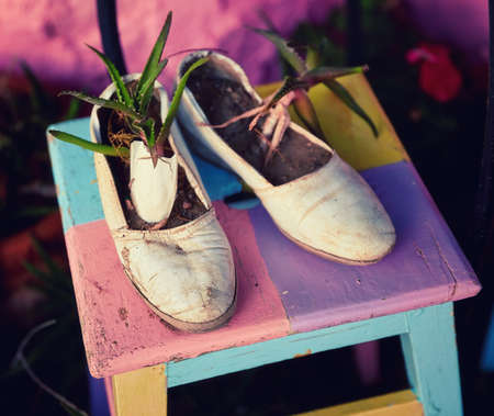 Women shoes as decorative flower pot on a colorful wooden stool. Original garden decoration.