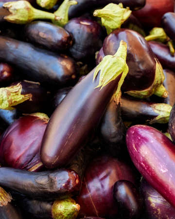 Top down heap of fresh eggplants on a market counterの写真素材