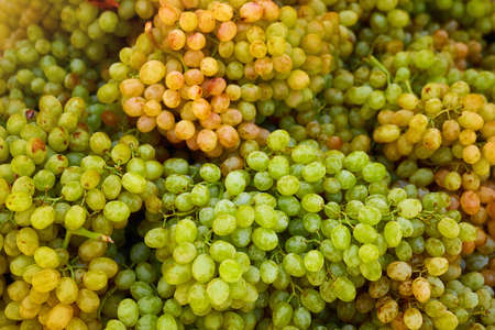 Close up green Sultana grape heap on the market counter
