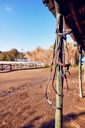 Vintage leather horse halter hanging from the wooden pole of a western horse farm.の写真素材