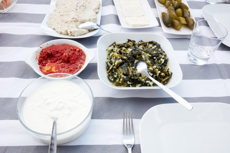 Turkish appetizers cooked chard, yogurt, white cheese, mashed tomatoes, hummus and pickles served on a table under natural afternoon lightの写真素材