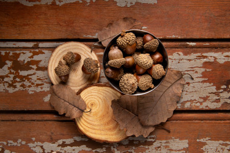 Acorns and oak leaves on rustic wooden background, top view