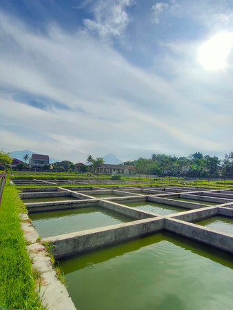 Water treatment plants in a farm in the countryside of Magelang, Indonesiaの写真素材