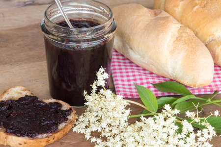 elderberry marmalade spread on bread and flowering branchの写真素材