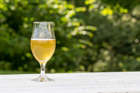 mug of beer on white table and green backgroundの写真素材