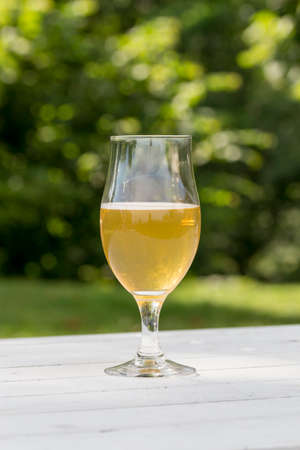 mug of beer on white table and green backgroundの写真素材