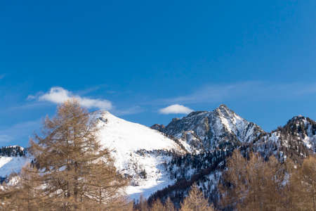 Alpine landscape with mountains, trees and snow