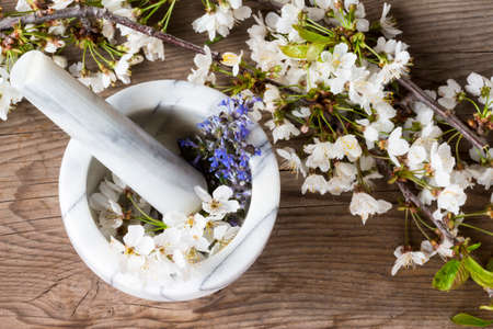Alternative Medicine: preparation of essences of flowers and spring herbsの写真素材