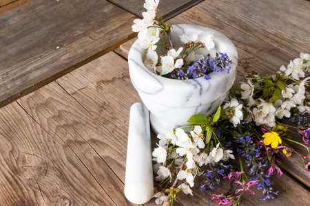 Alternative Medicine: preparation of essences of flowers and spring herbsの写真素材