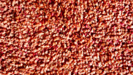 Close up of red carpet for backgroundの写真素材