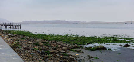 wooden deck in a misty day at Paracas beach. Ica, Peruの写真素材