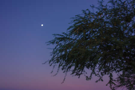 A solitary moon at dusk, contrasting with sunset colored skyの写真素材