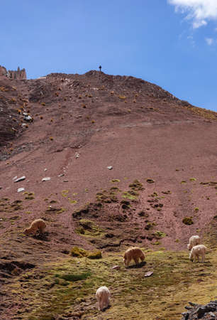 Palccoyo rainbow mountains, in Cusco, Peru. Colorful landscape in the Andesの写真素材