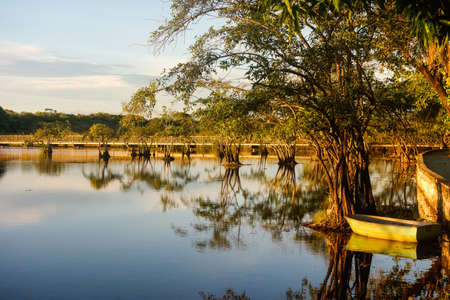 small boat and tree reflections on lake surface, at sunsetの写真素材