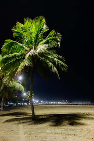 palm trees on the sand of Santos city beach, Sao Paulo, Brazil, at night.の写真素材